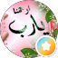 MOHAMED moawed