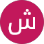 شادي شام