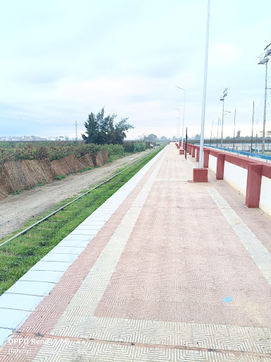 فندق النيل برشيد علي النيل
